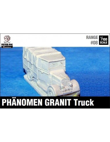 1/100 Granit truck