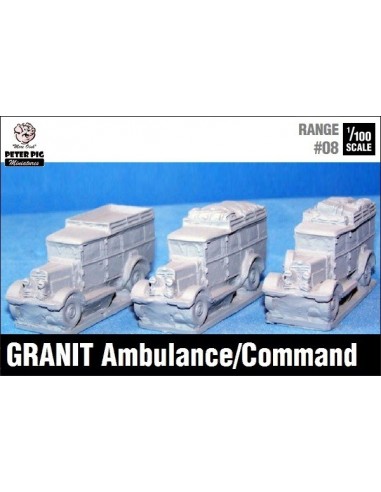 1/100 Granit ambulance
