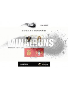 1/100 Our Lady of Conception IR flags 2