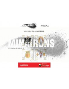 1/72 Banderes del RI Sant Narcís 2