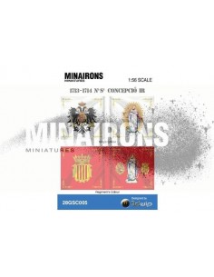 1/56 Banderas del RI Inmaculada Concepción 2