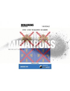 1/56 Walloon Guards flags 2