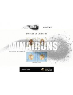 1/100 Barcelona City IR flags 2