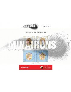 1/72 Barcelona City IR flags 2