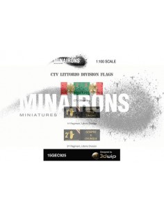 1/100 Italian CTV flags 2