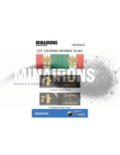 1/56 Banderes del CTV italià 2