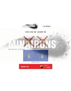 1/72 Banderes del RI McAuliffe 2