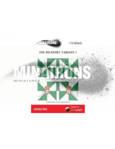 1/72 1701 pattern flags, variant 1 2