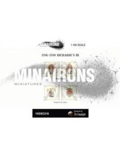 1/100 Richardi IR flags 2