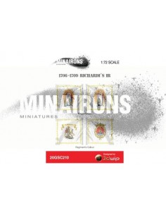 1/72 Richardi IR flags 2