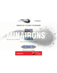 1/72 Moroccan Cavalry standards 2