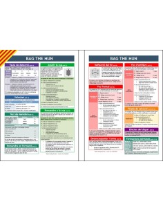 Hoja de Referencia Rápida BtH