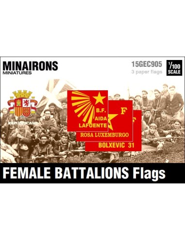 1/100 Female Battalions flags