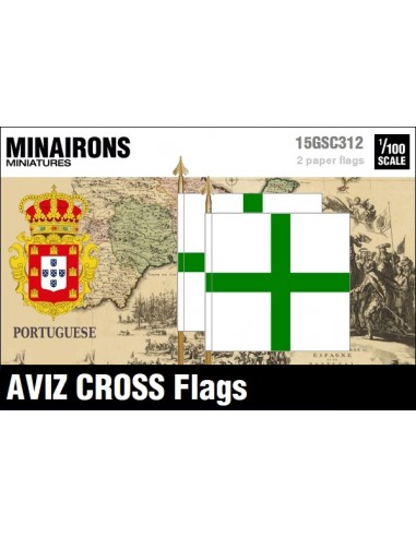 1/100 Aviz Cross flags