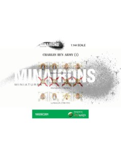 1/144 Austrophile Infantry flags (1) 2