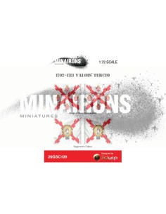 1/72 Banderes del Terç de Valois 2