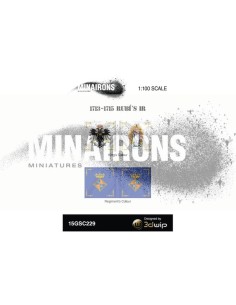 1/100 Rubí's IR flags 2