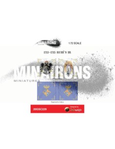 1/72 Rubí's IR flags 2